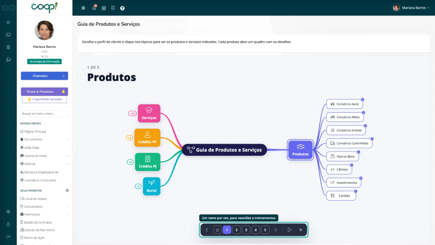 Modo apresentação do mapa mental mostrando o ramo de produtos, com a barra de navegação entre os ramos